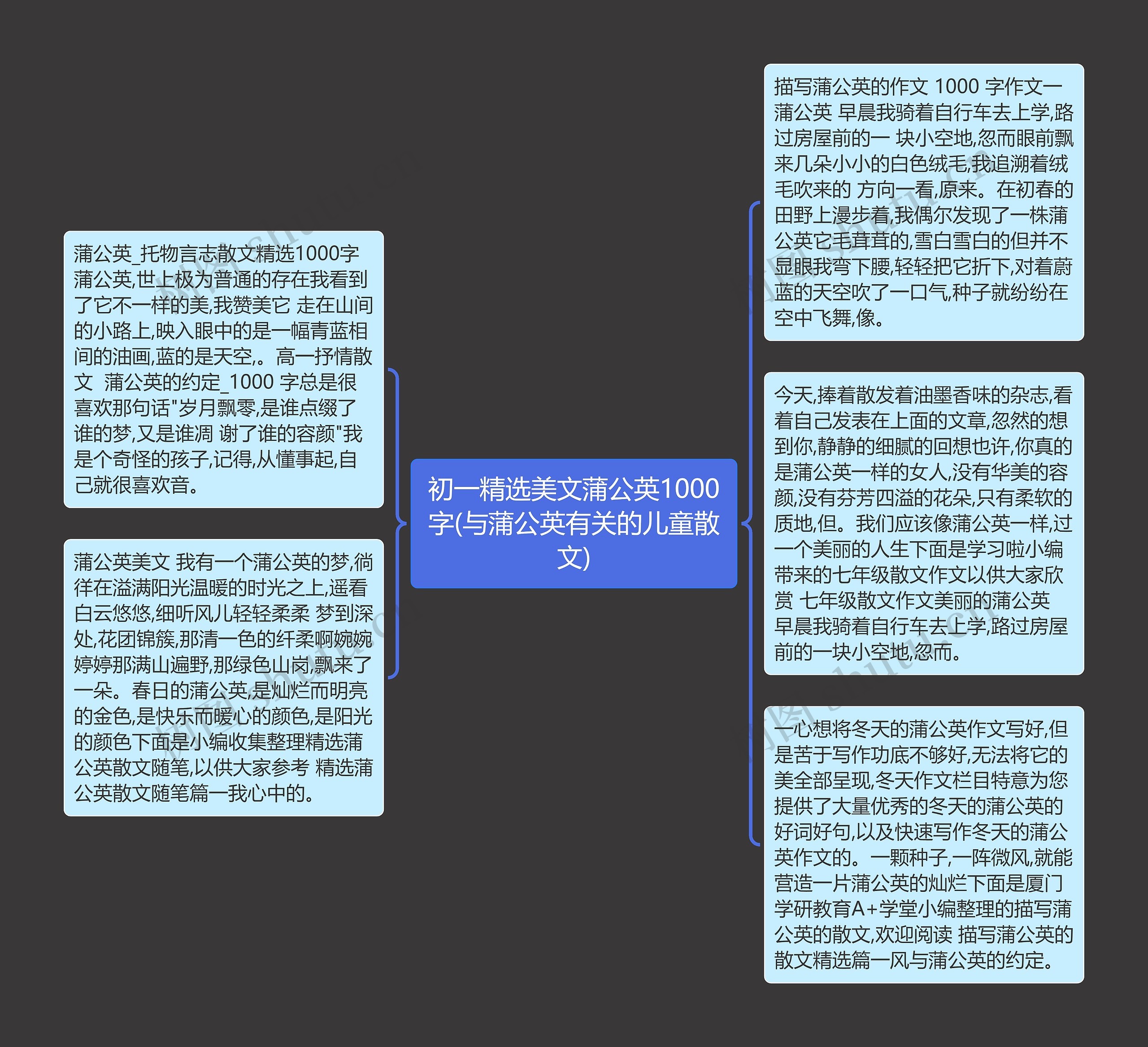 初一精选美文蒲公英1000字(与蒲公英有关的儿童散文)思维导图