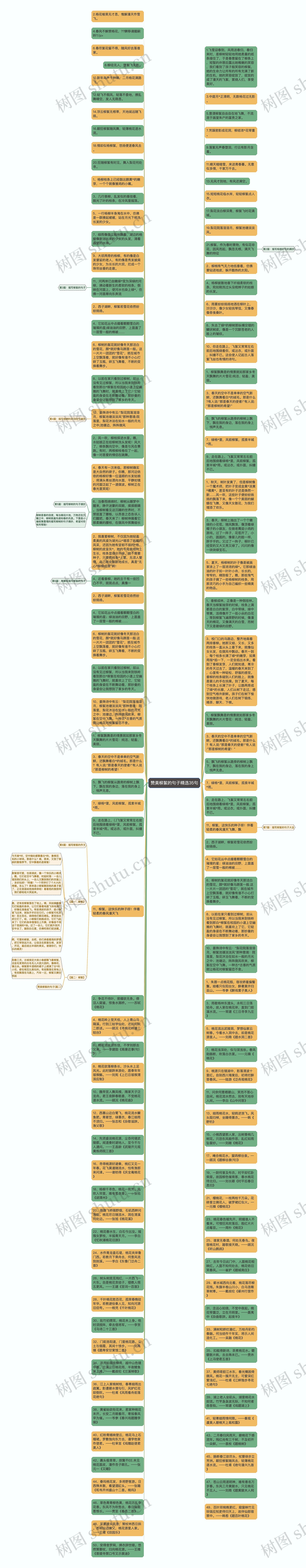 赞美柳絮的句子精选35句思维导图