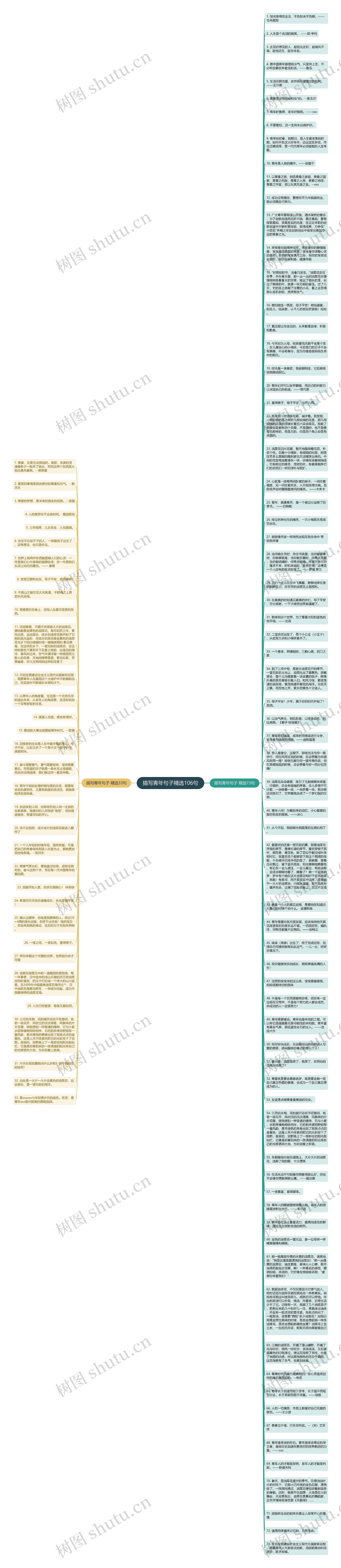 描写青年句子精选106句思维导图