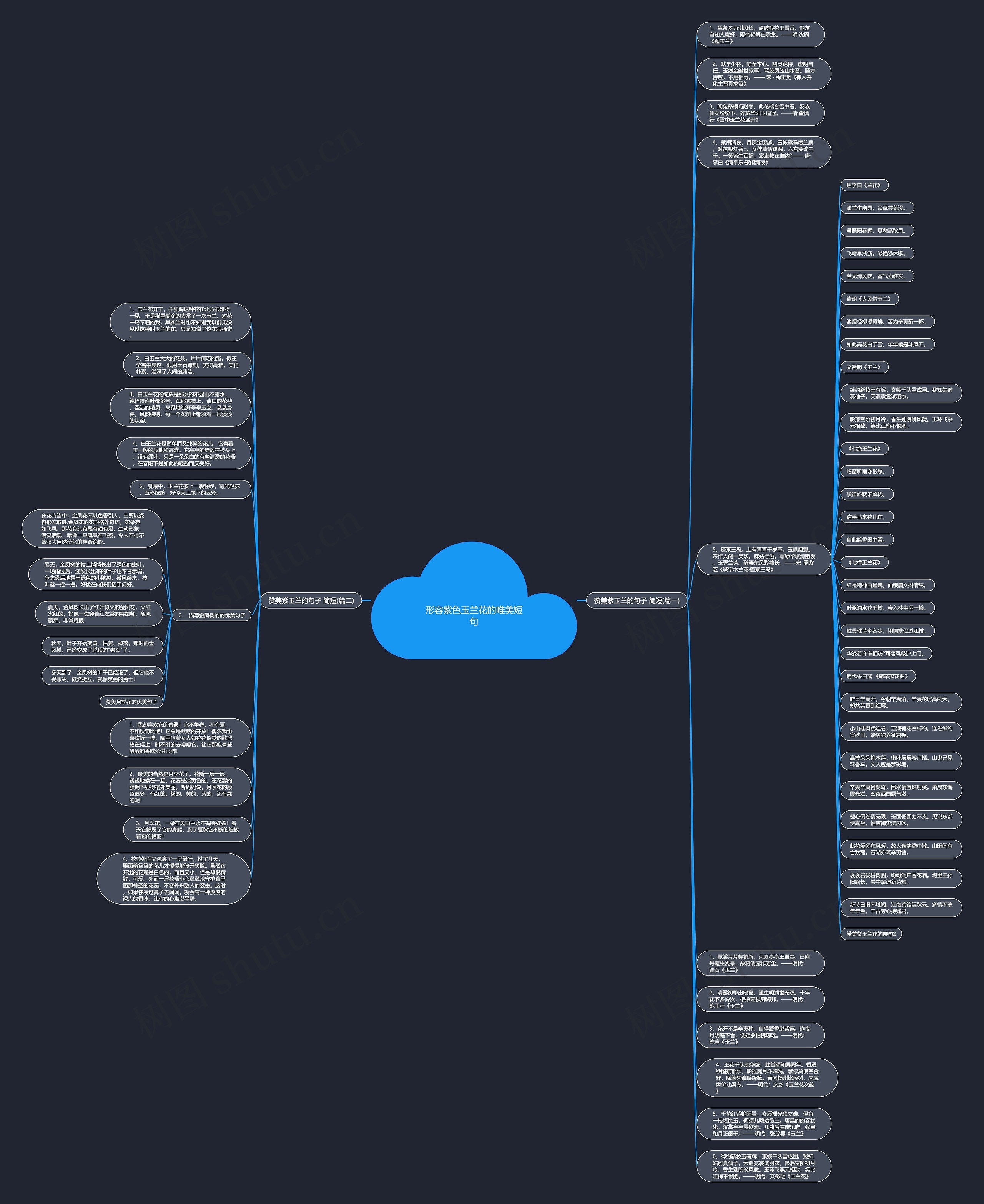 形容紫色玉兰花的唯美短句思维导图