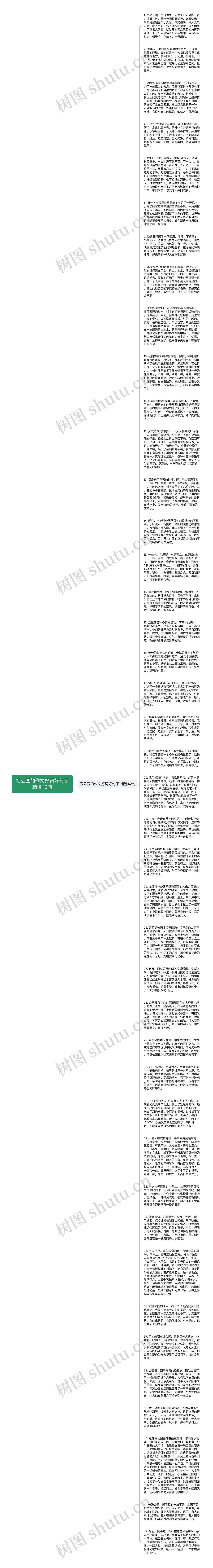 写公园的作文好词好句子精选42句