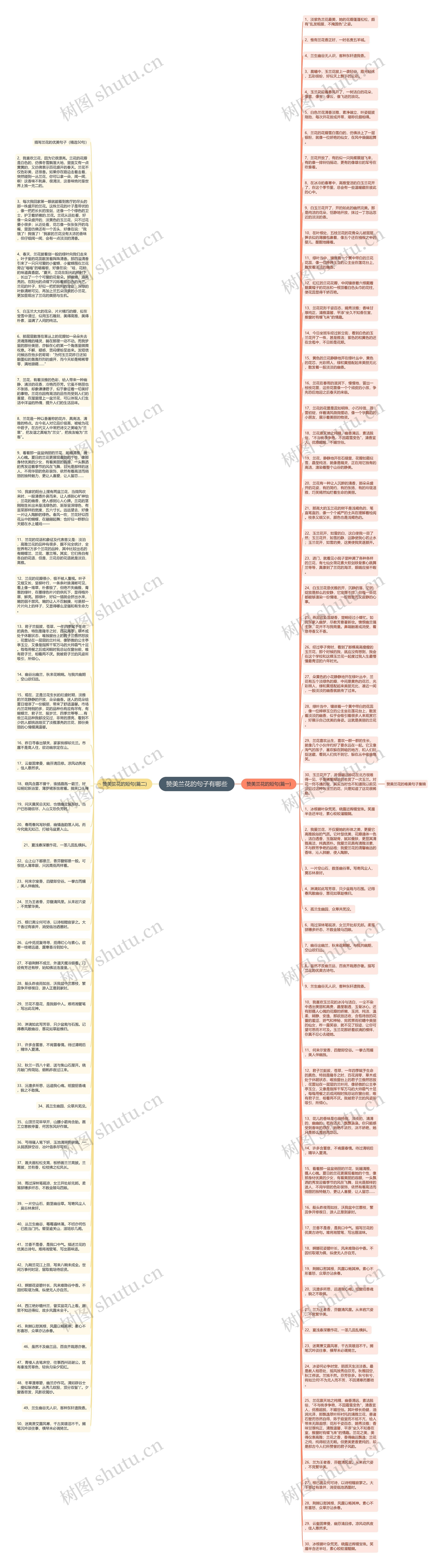 赞美兰花的句子有哪些思维导图