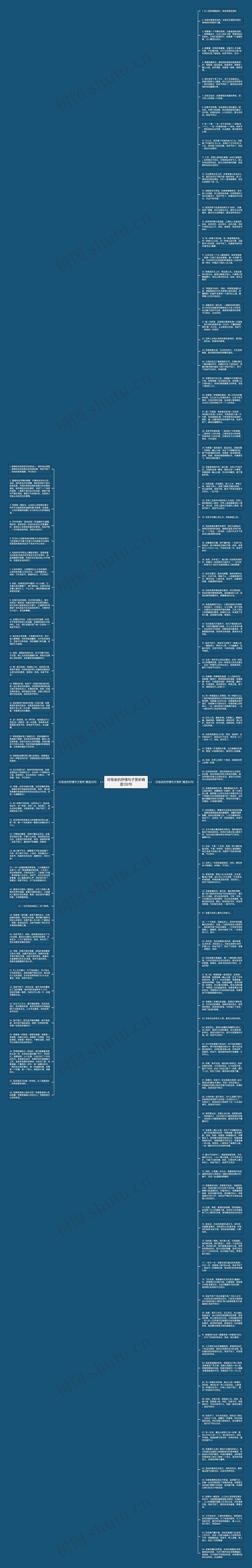 对母亲的抒情句子赏析精选132句思维导图