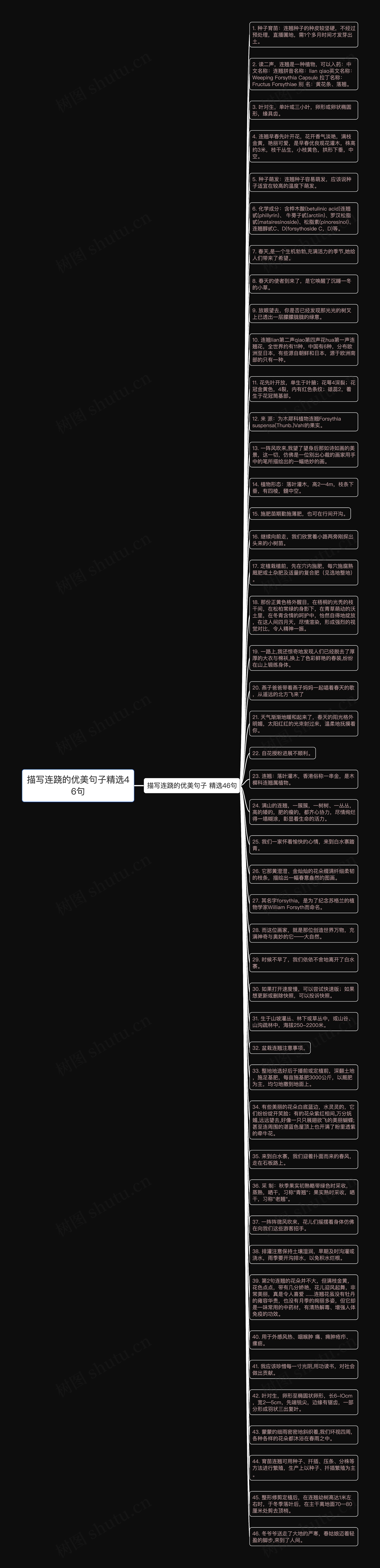 描写连跷的优美句子精选46句思维导图