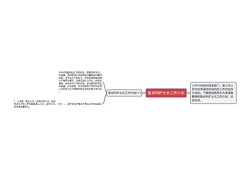 急诊科护士长工作计划