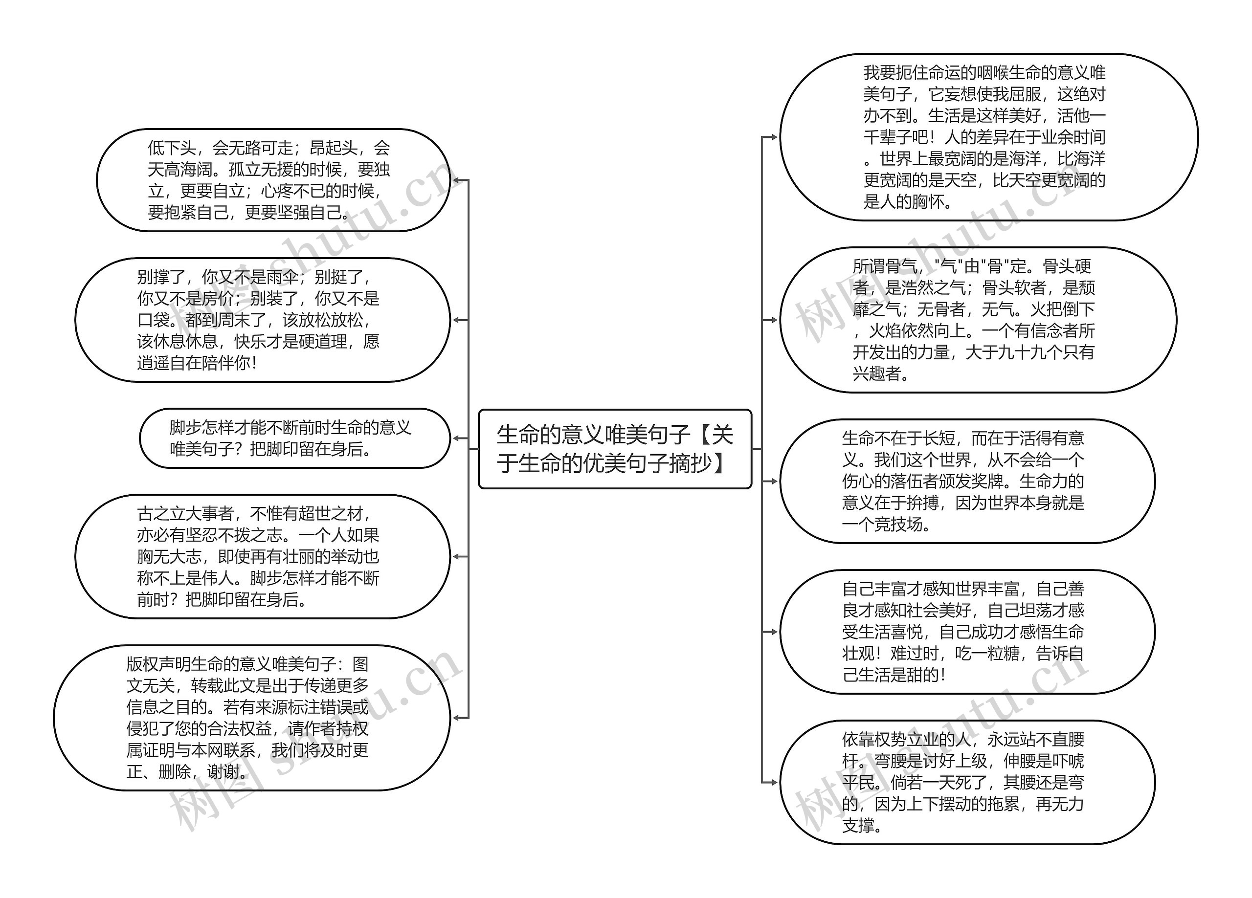 生命的意义唯美句子【关于生命的优美句子摘抄】思维导图