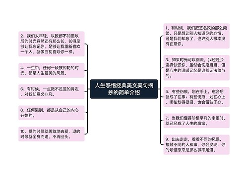 人生感悟经典美文美句摘抄的简单介绍