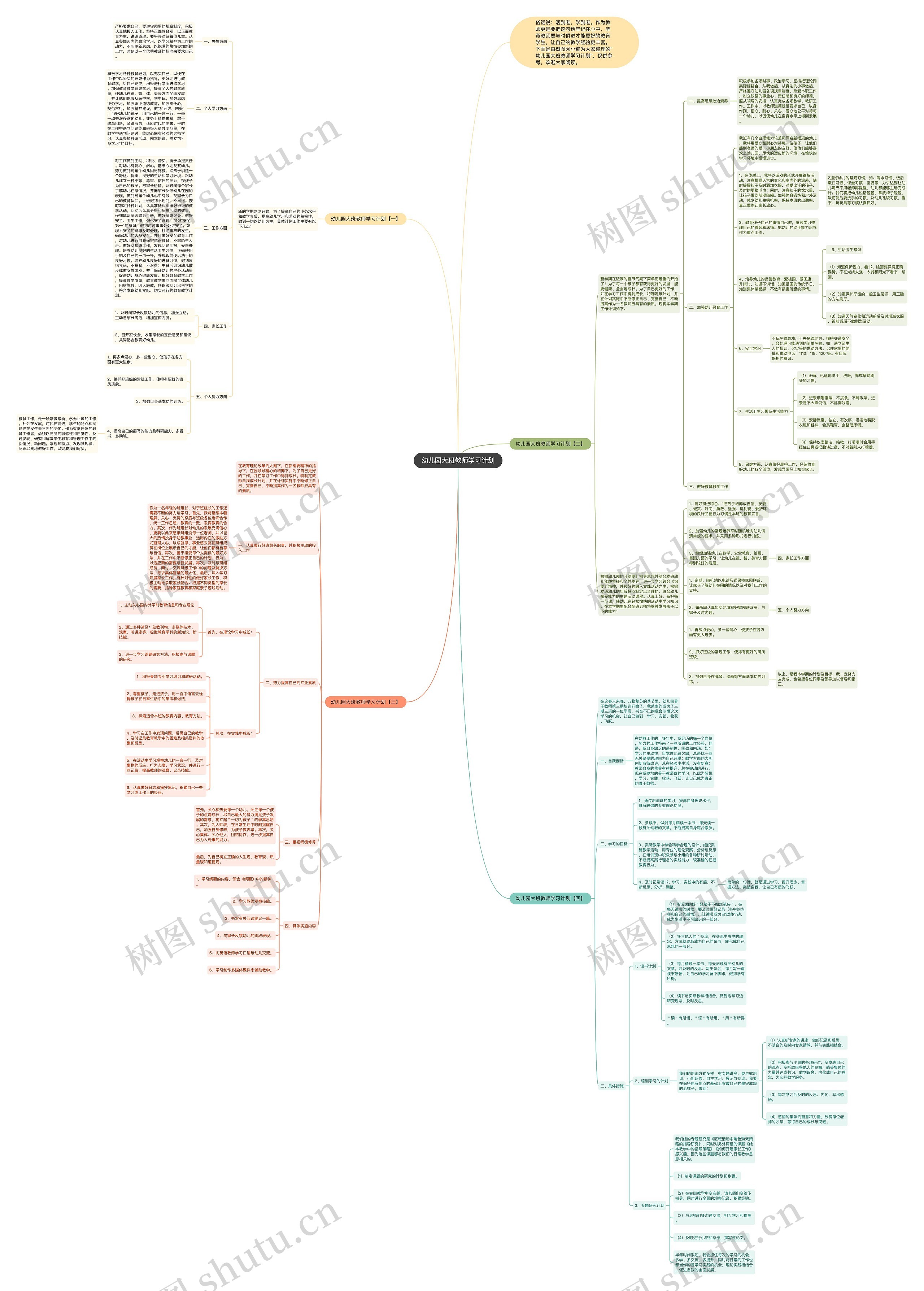 幼儿园大班教师学习计划思维导图