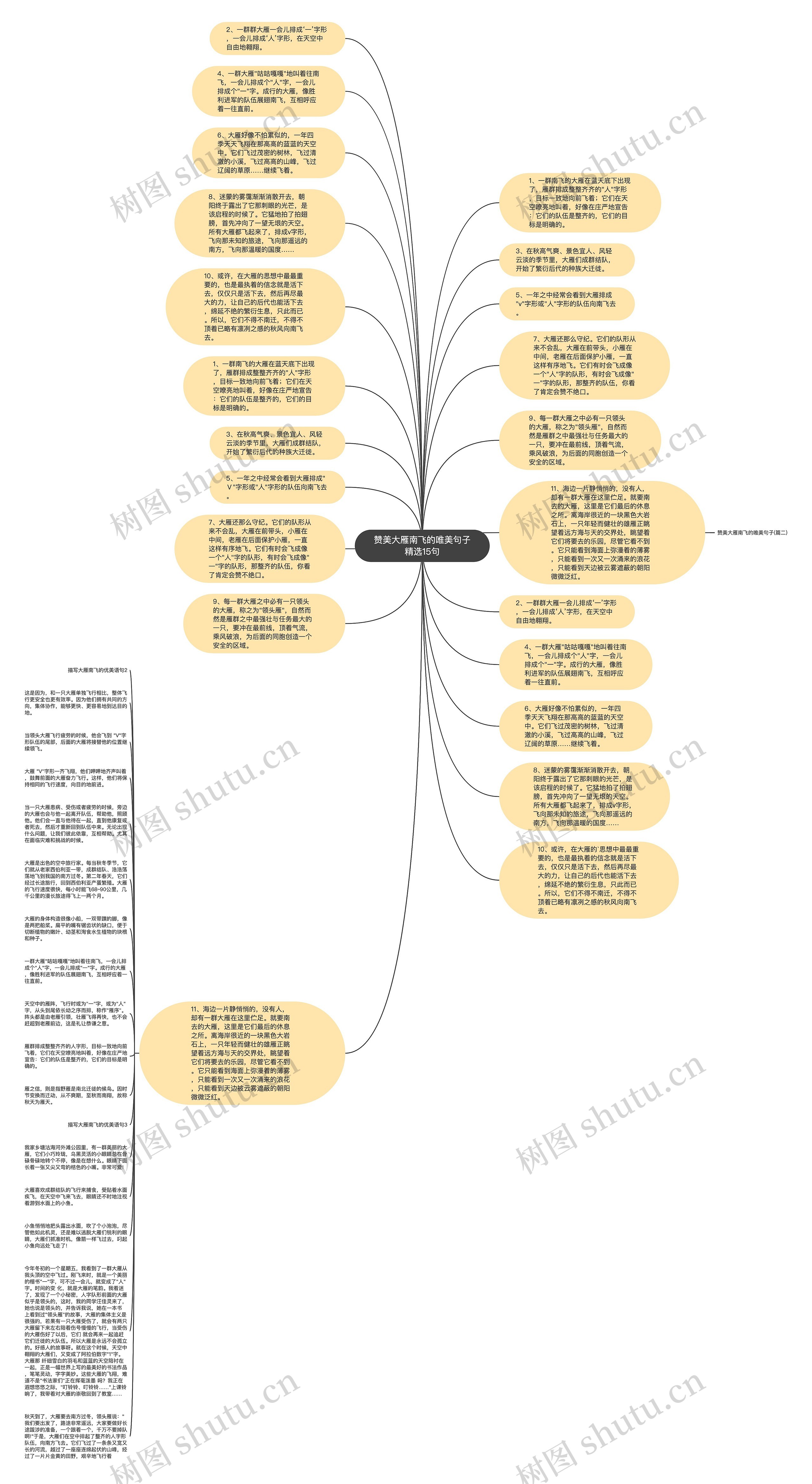 赞美大雁南飞的唯美句子精选15句思维导图