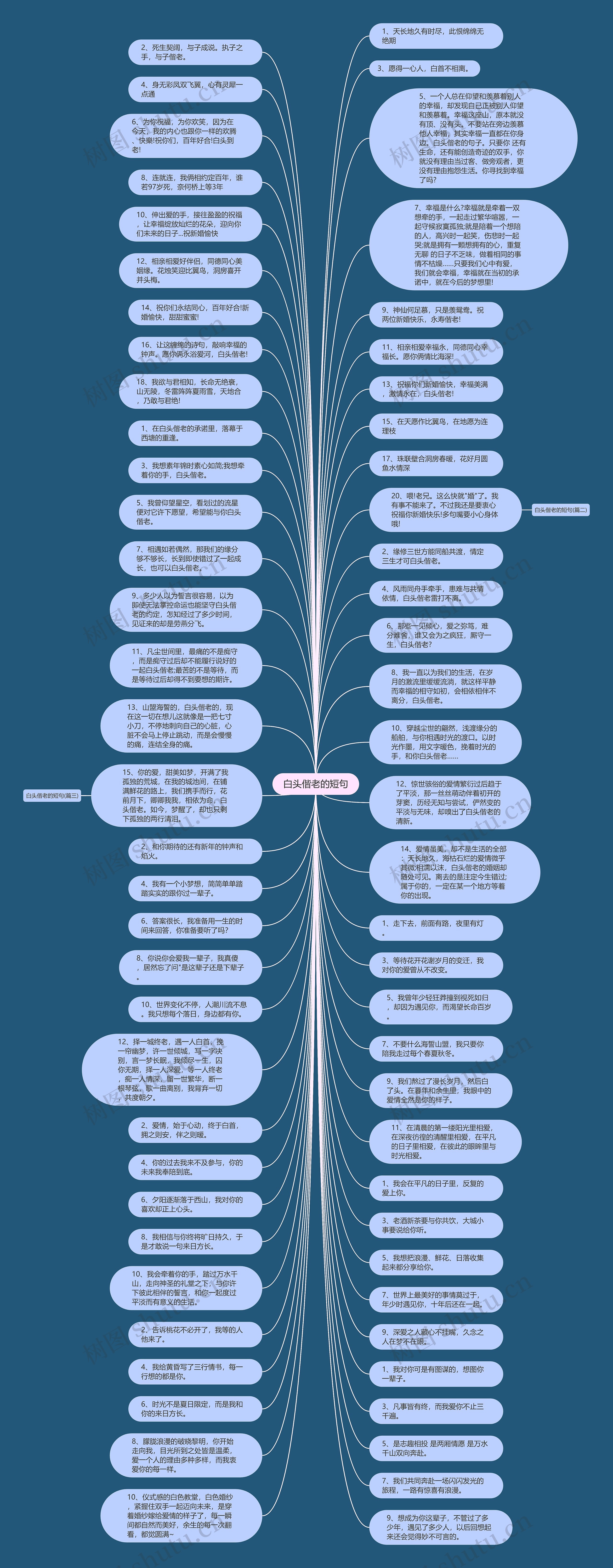 白头偕老的短句思维导图