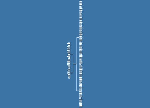 防弱水手抄报的句子精选218句