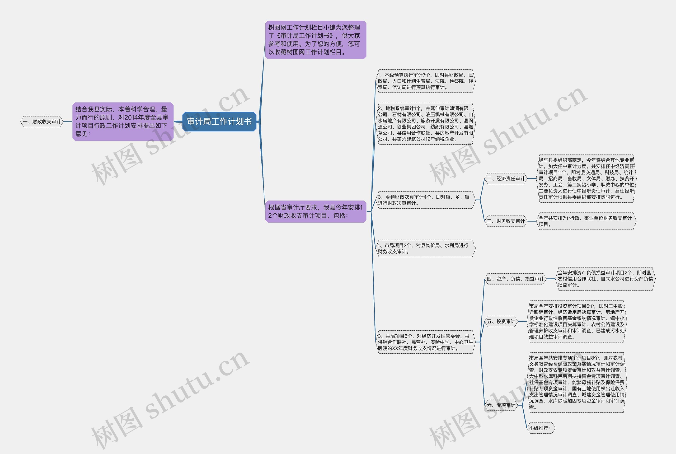 审计局工作计划书思维导图