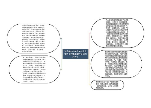 适合摘抄的美文美句及含赏析【在哪里能抄短句的赏析】