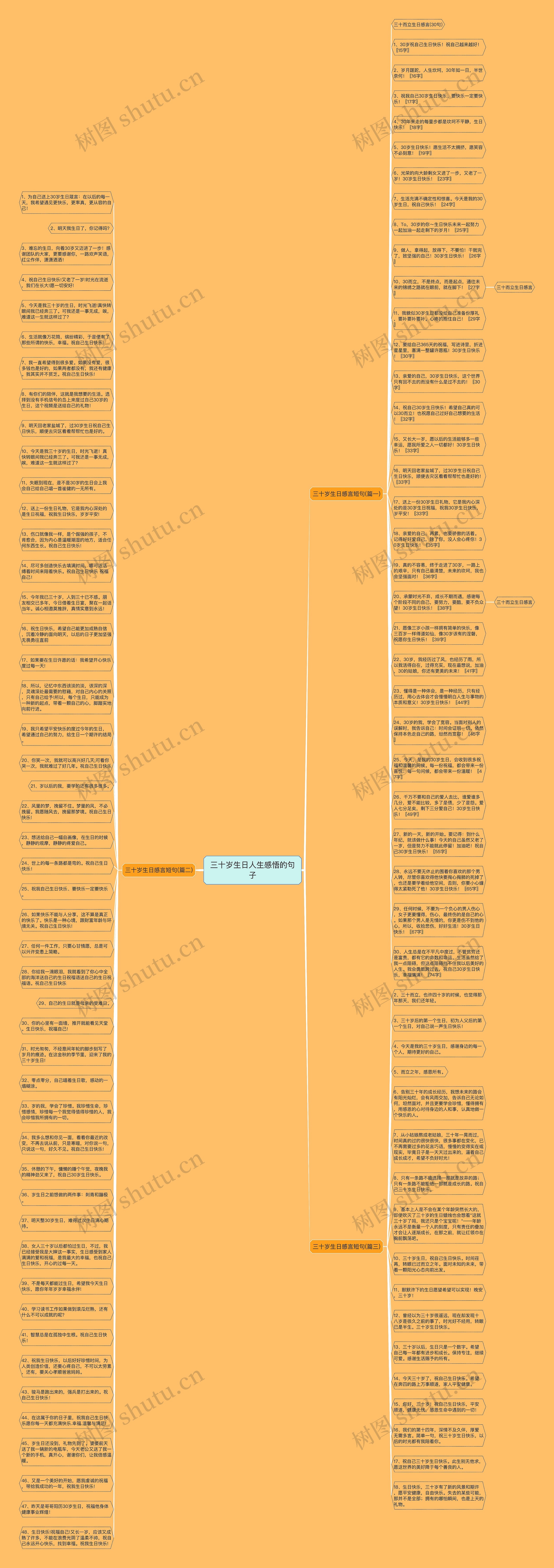 三十岁生日人生感悟的句子思维导图