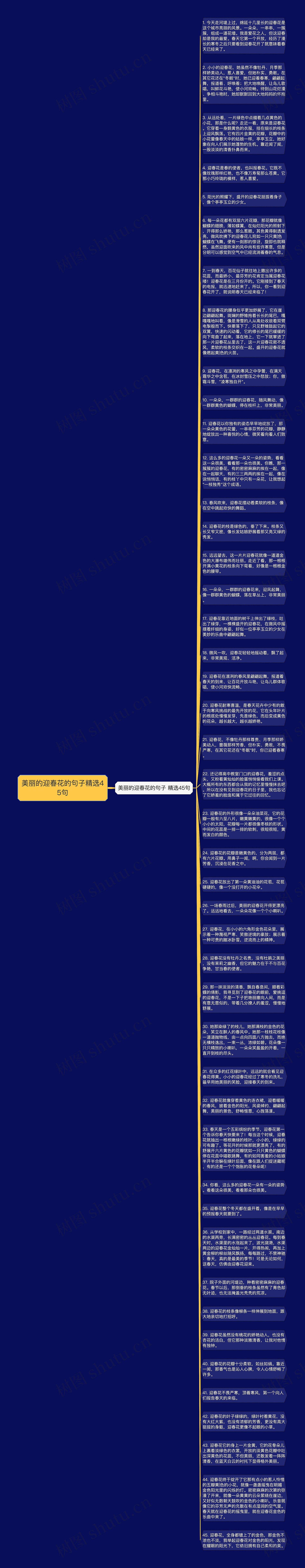 美丽的迎春花的句子精选45句