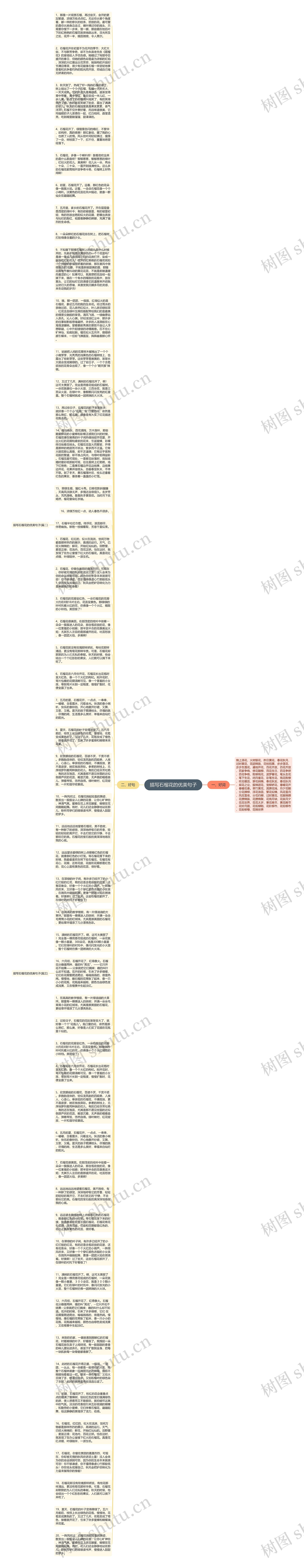 描写石榴花的优美句子思维导图