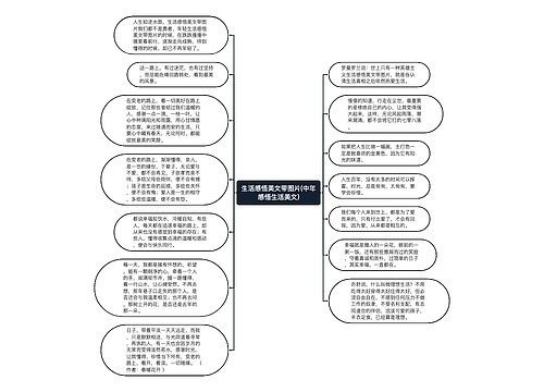 生活感悟美文带图片(中年感悟生活美文)