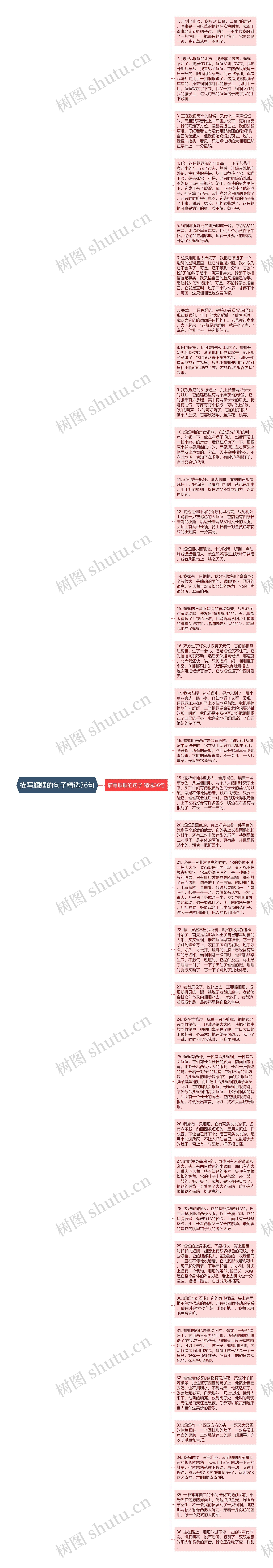 描写蝈蝈的句子精选36句思维导图