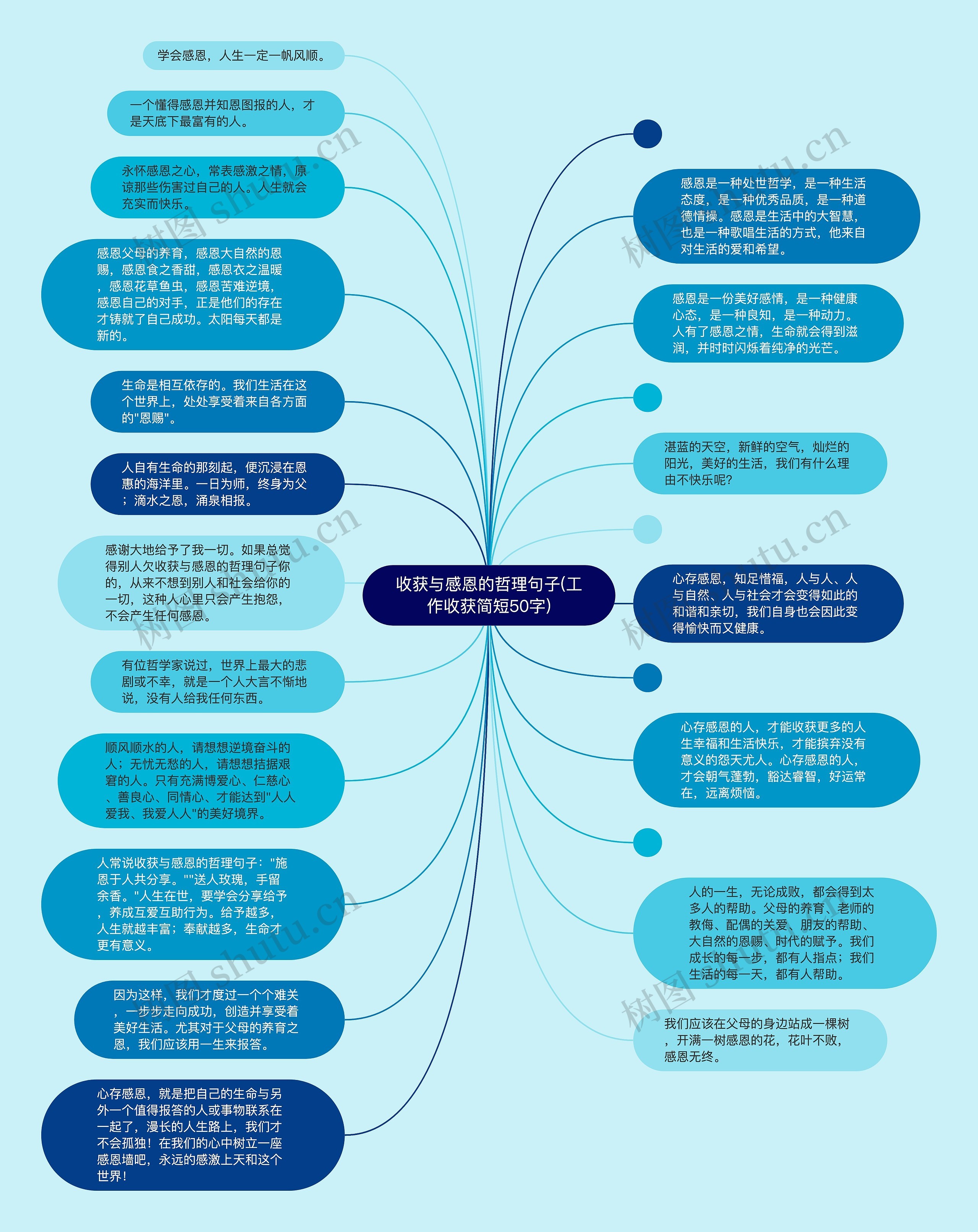 收获与感恩的哲理句子(工作收获简短50字)思维导图