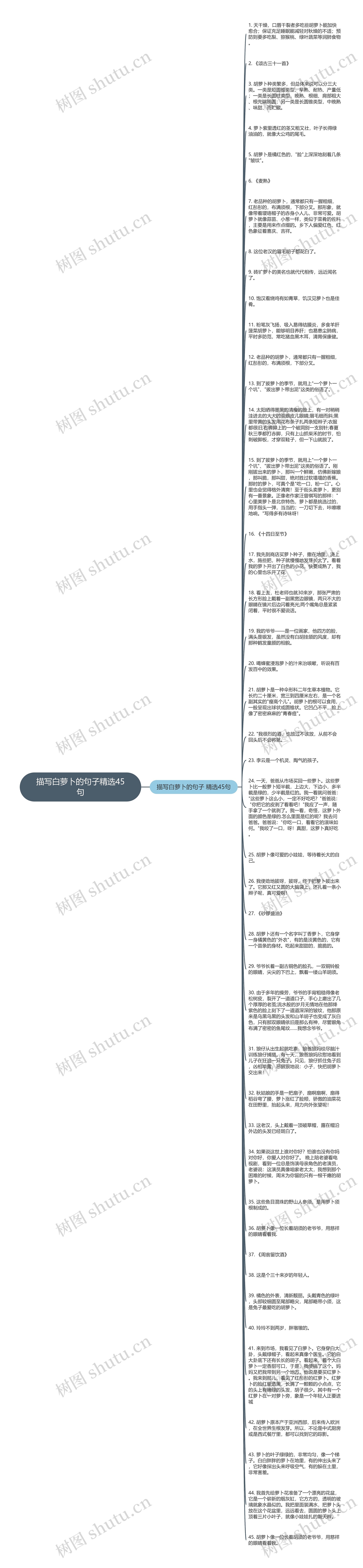 描写白萝卜的句子精选45句思维导图