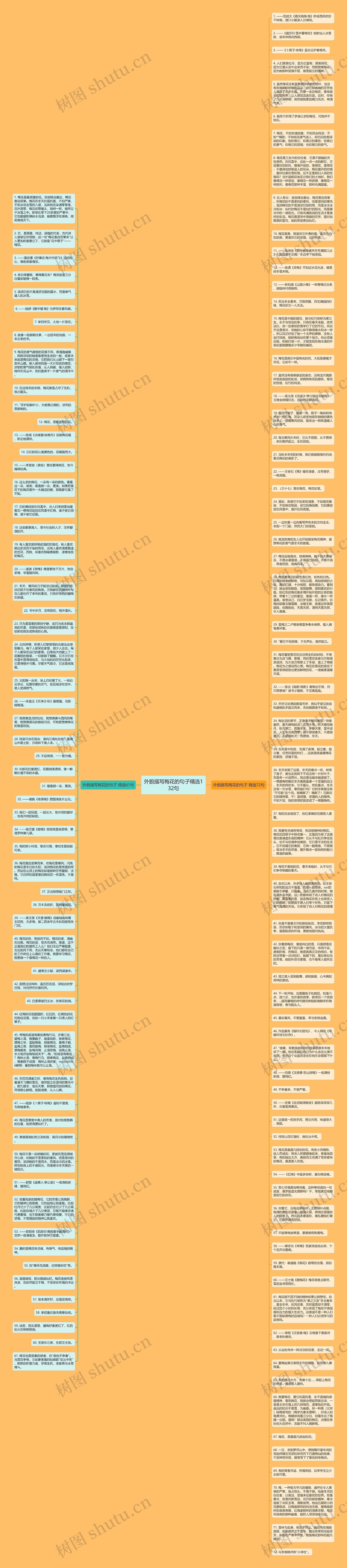 外貌描写梅花的句子精选132句思维导图