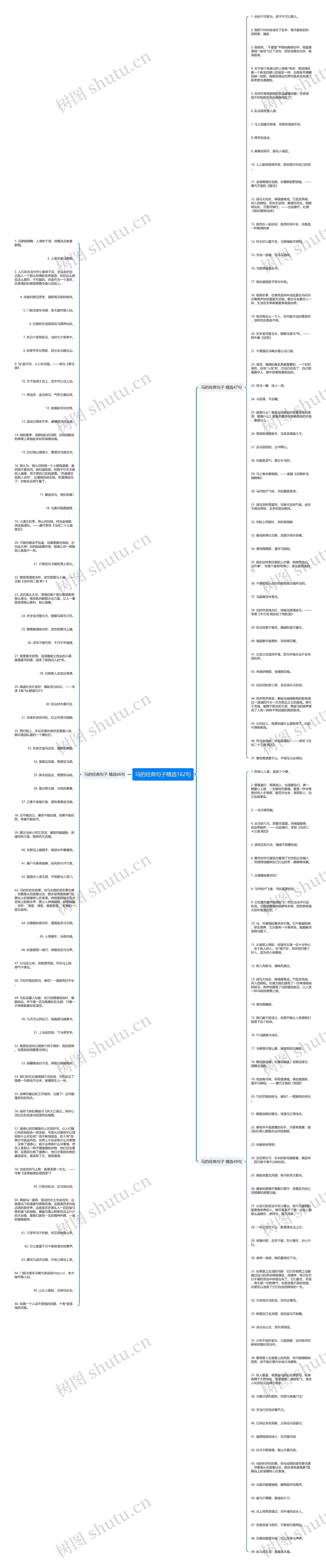 马的经典句子精选162句思维导图
