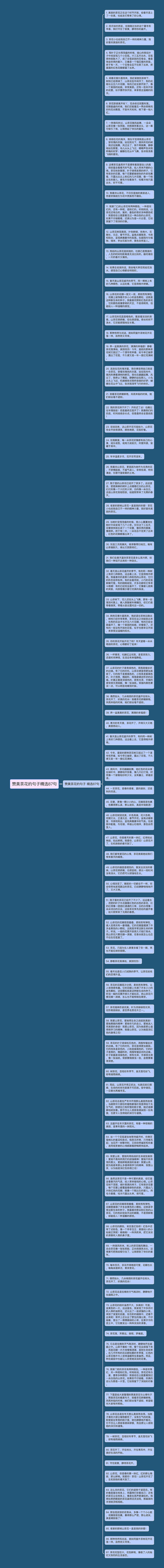 赞美茶花的句子精选87句思维导图