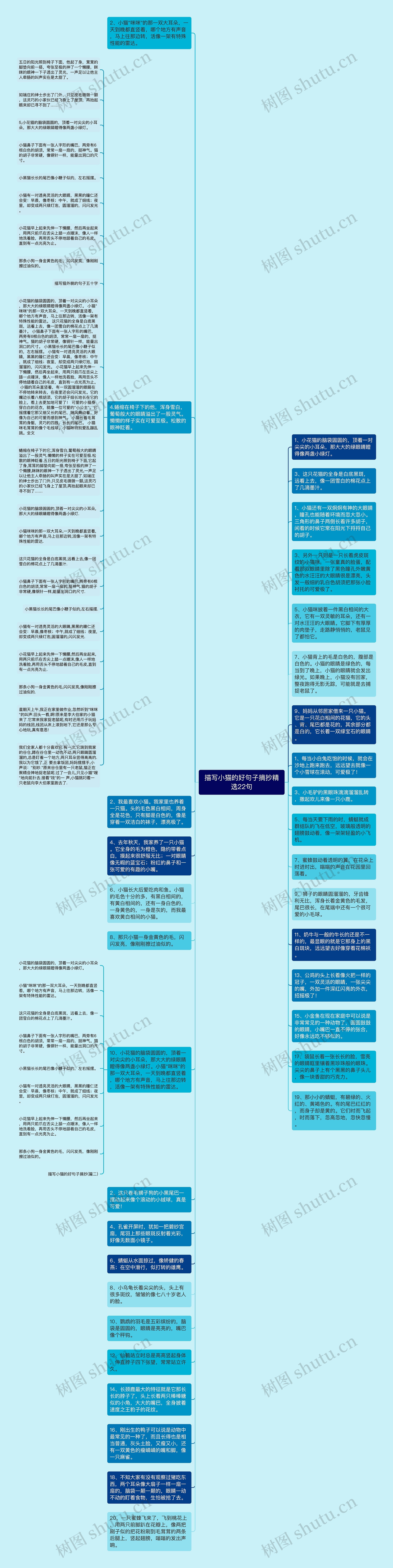 描写小猫的好句子摘抄精选22句