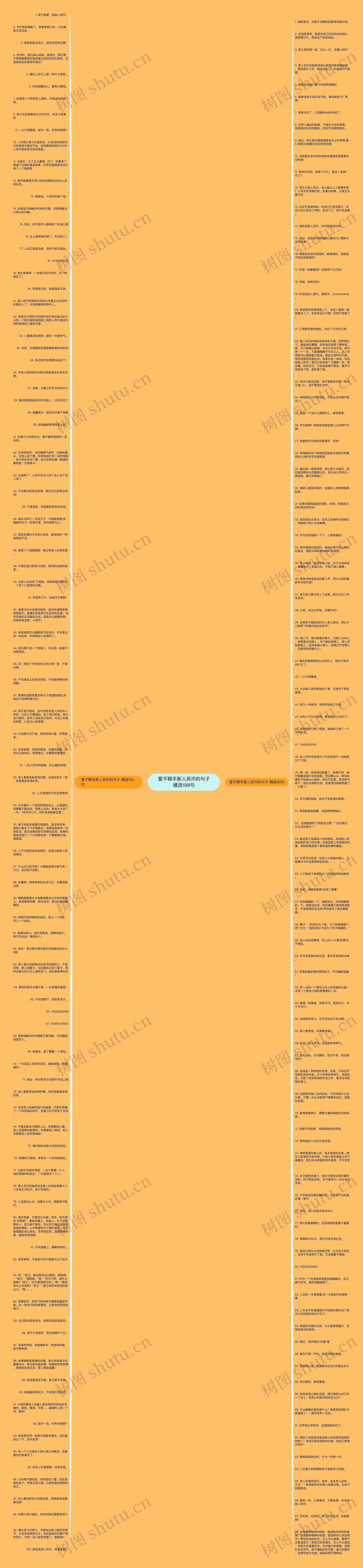 爱不释手新人民币的句子精选198句思维导图