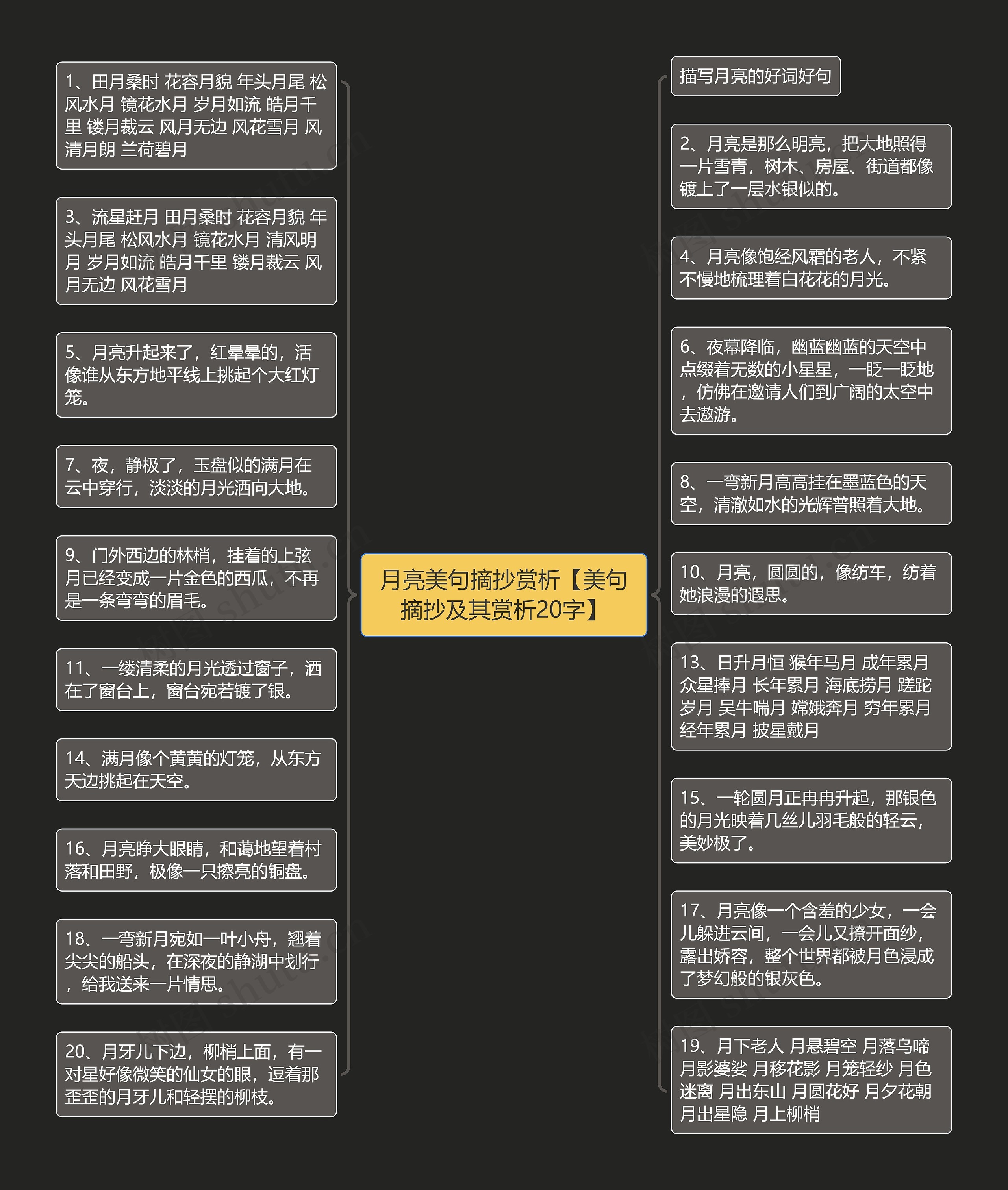 月亮美句摘抄赏析【美句摘抄及其赏析20字】