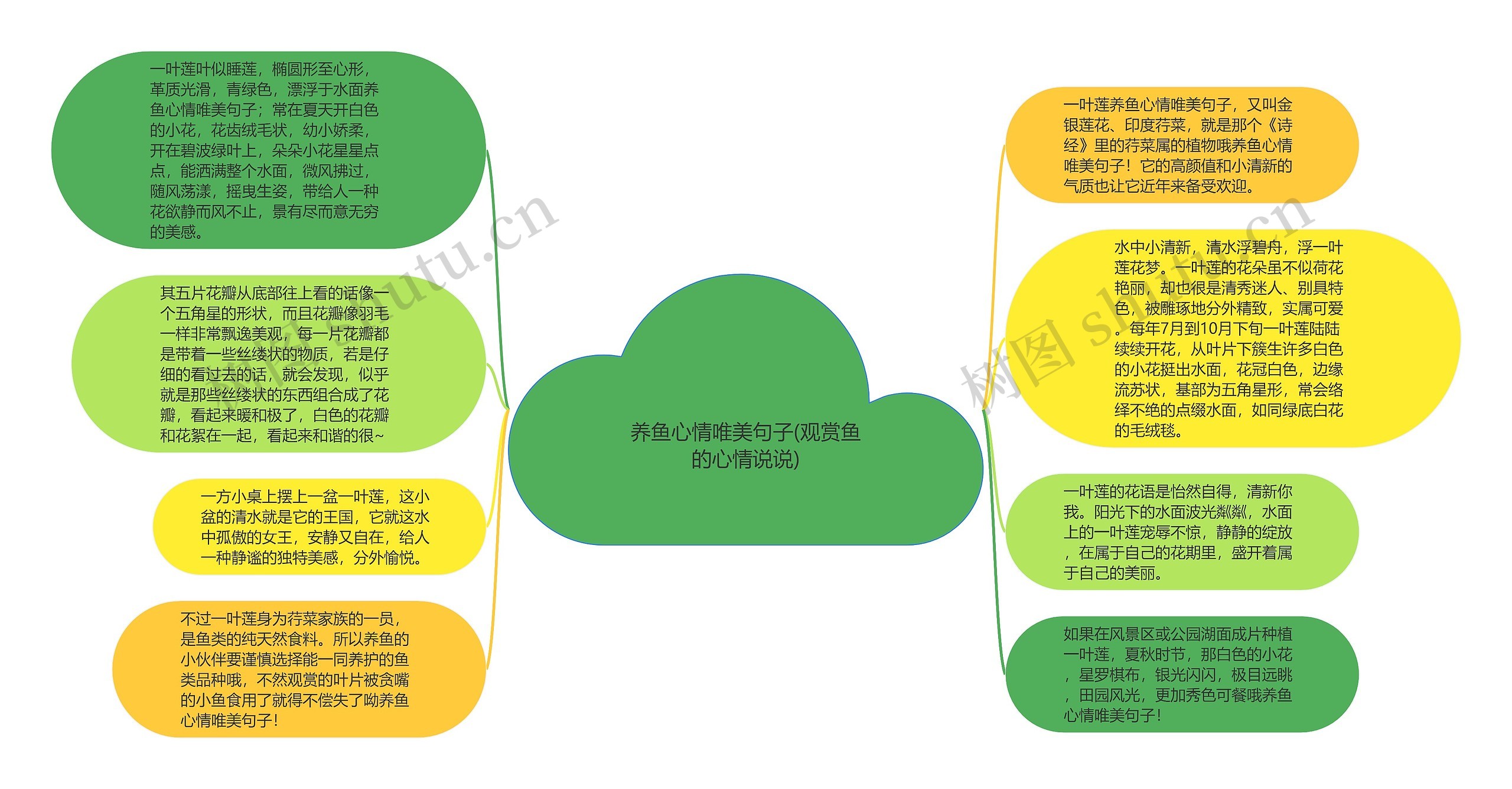 养鱼心情唯美句子(观赏鱼的心情说说)思维导图