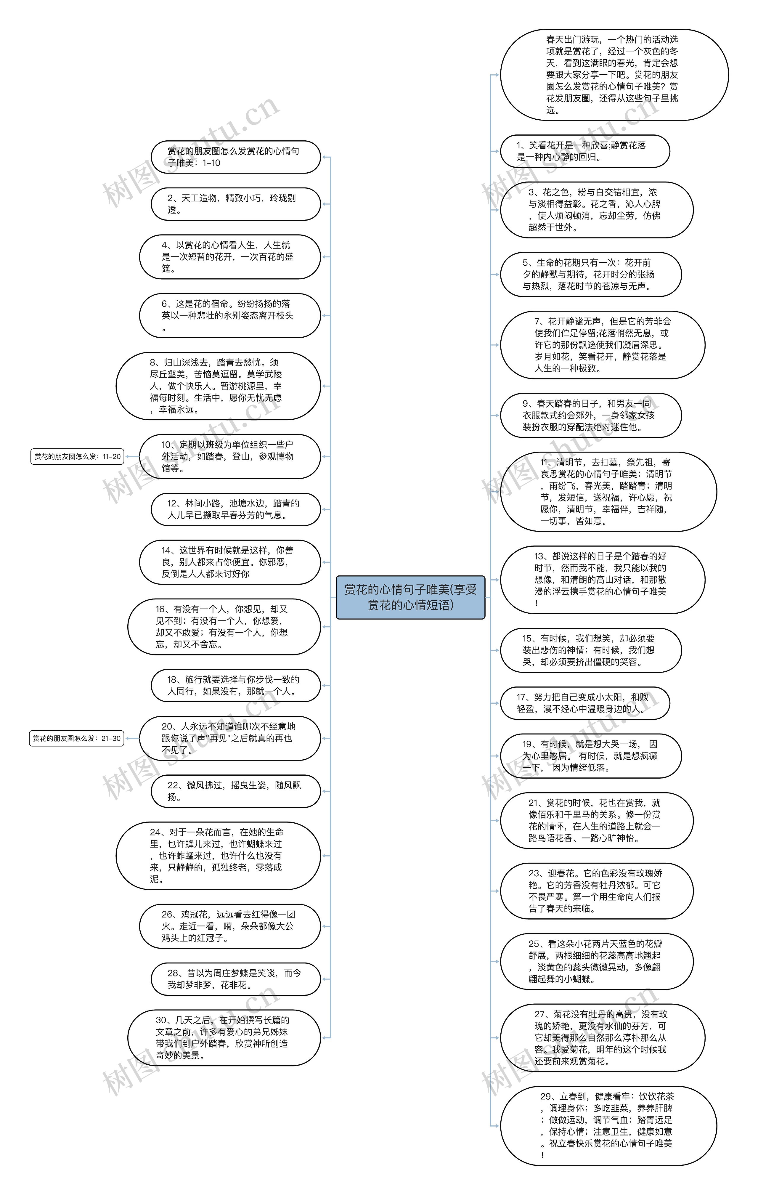 赏花的心情句子唯美(享受赏花的心情短语)思维导图