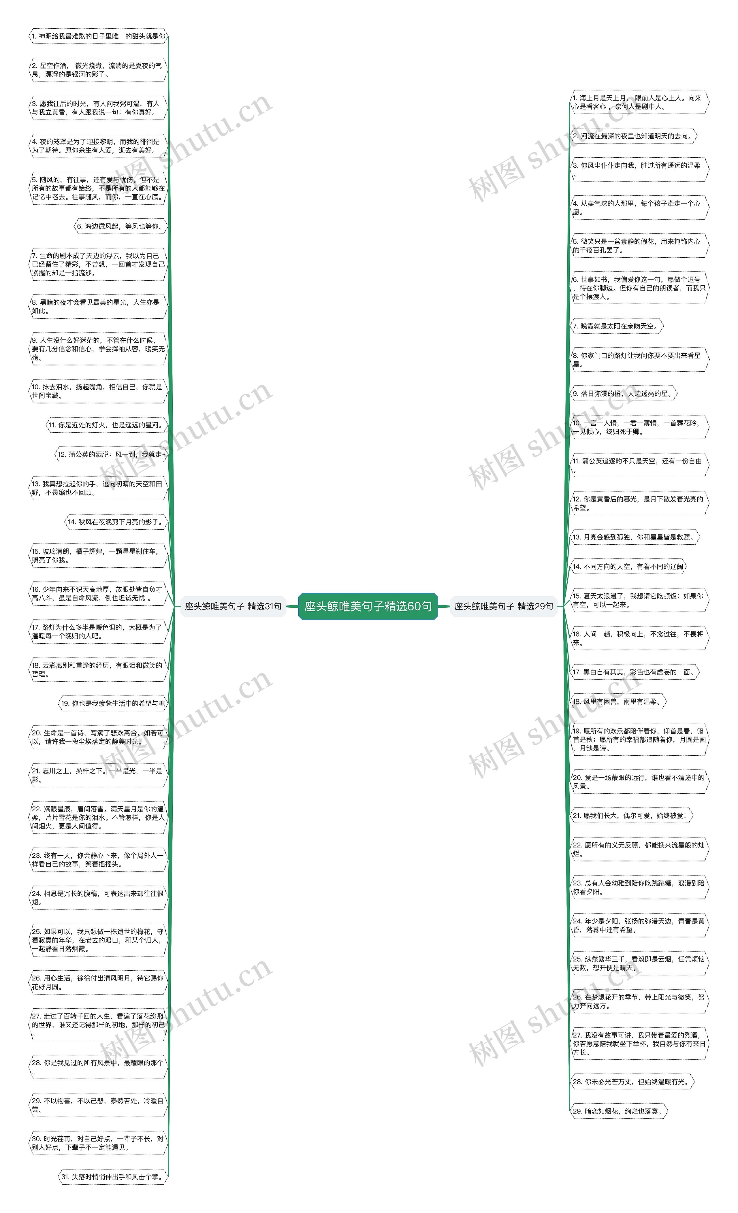 座头鲸唯美句子精选60句思维导图