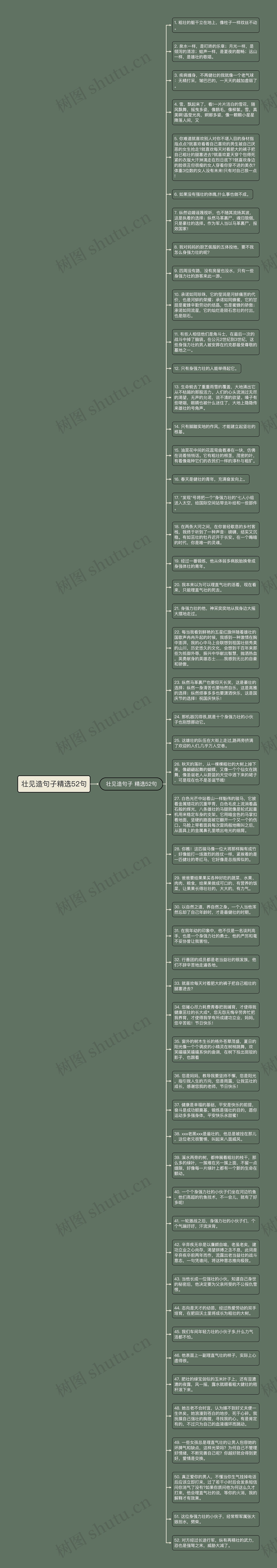 壮见造句子精选52句思维导图高清图 壮见造句子精选52句思维导图