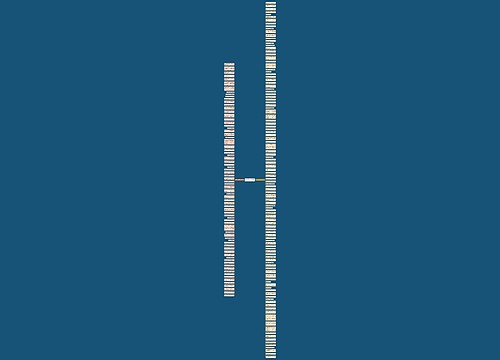 宽容信任理解的句子精选190句