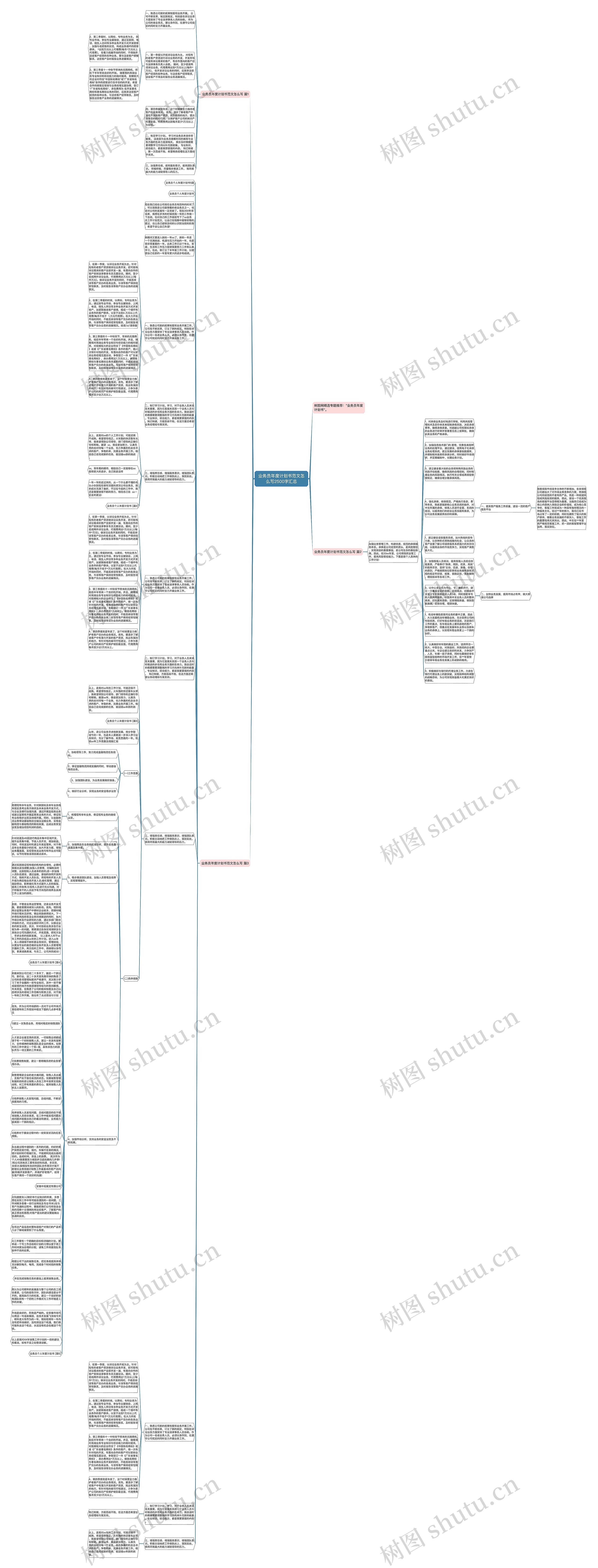 业务员年度计划书范文怎么写2500字汇总思维导图