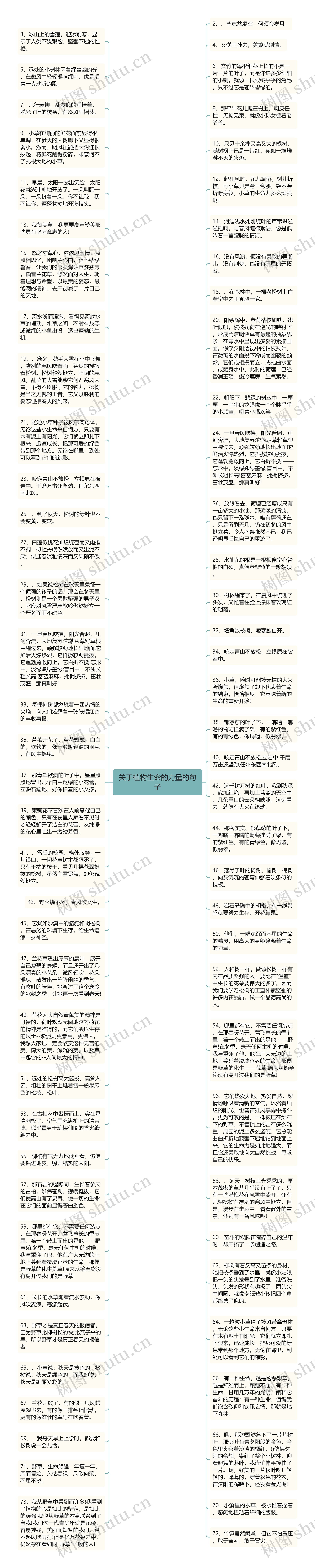 关于植物生命的力量的句子
