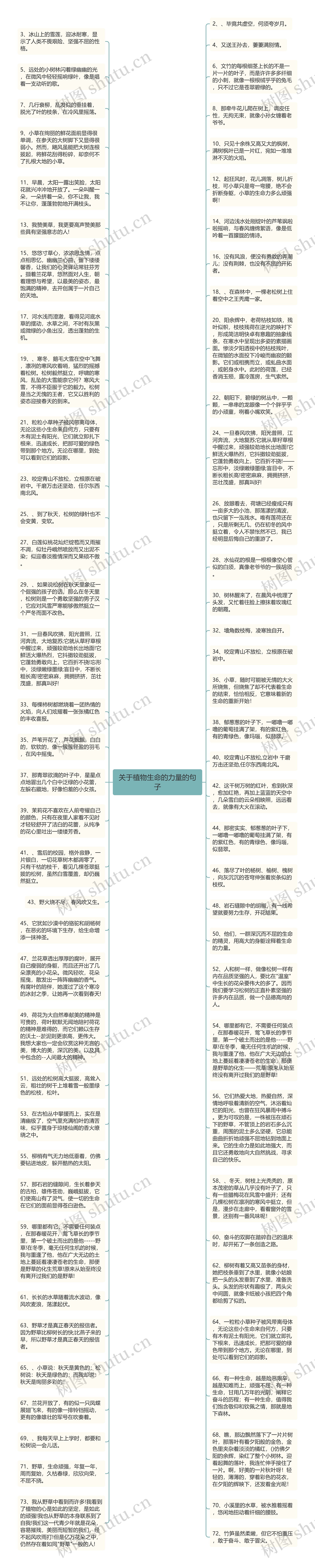 关于植物生命的力量的句子思维导图