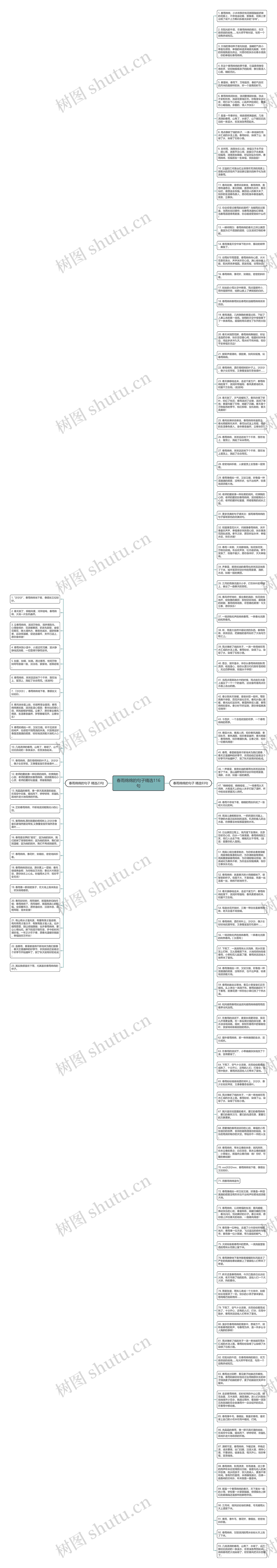 春雨绵绵的句子精选116句思维导图