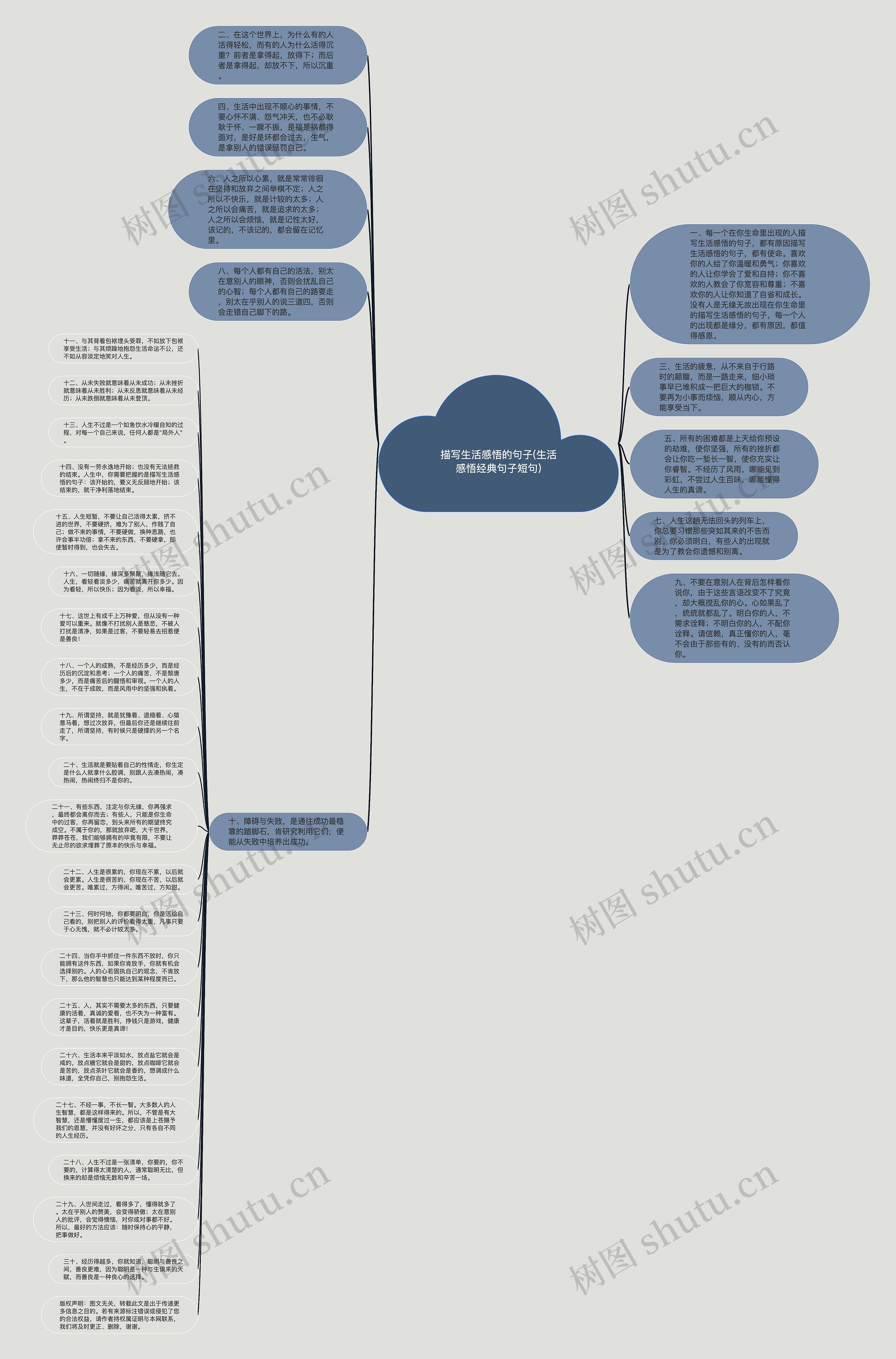 描写生活感悟的句子(生活感悟经典句子短句)思维导图