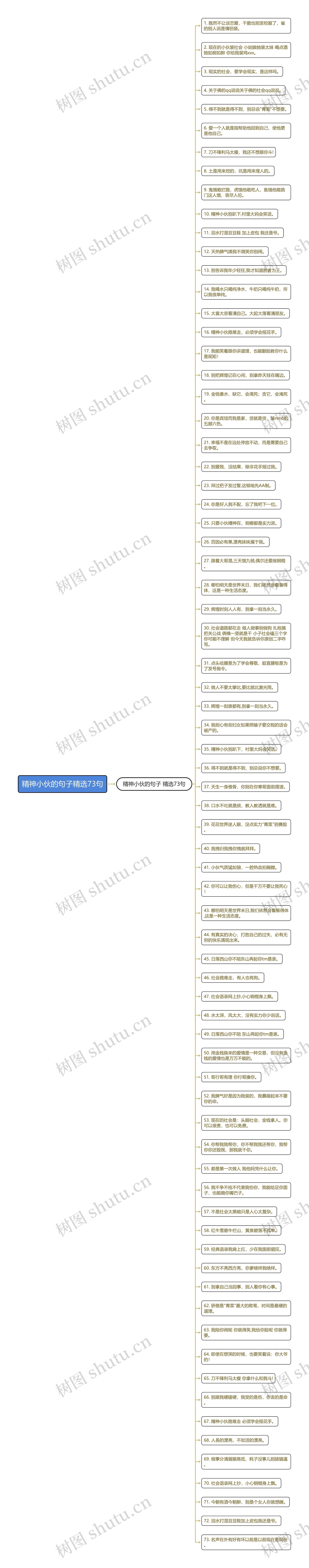 精神小伙的句子精选73句思维导图