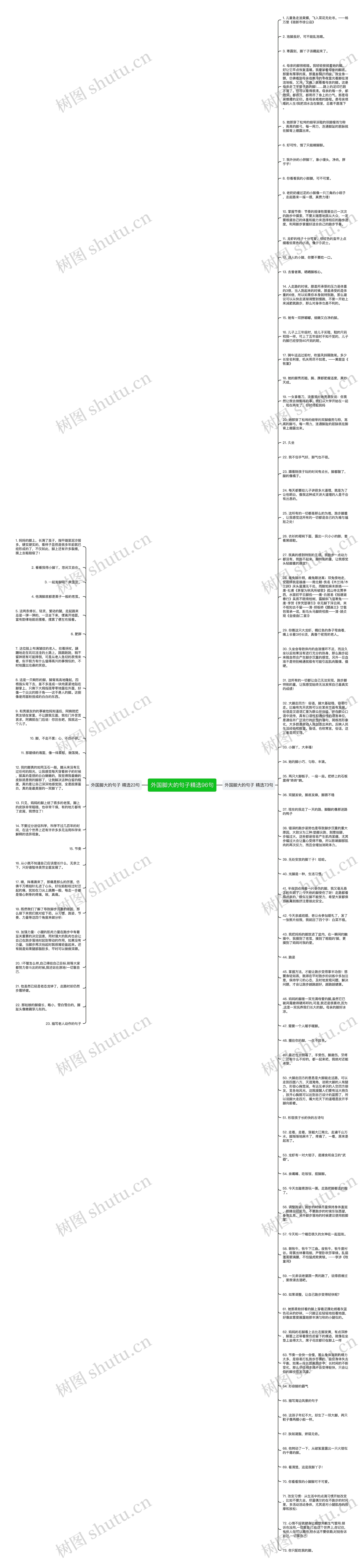 外国脚大的句子精选96句思维导图