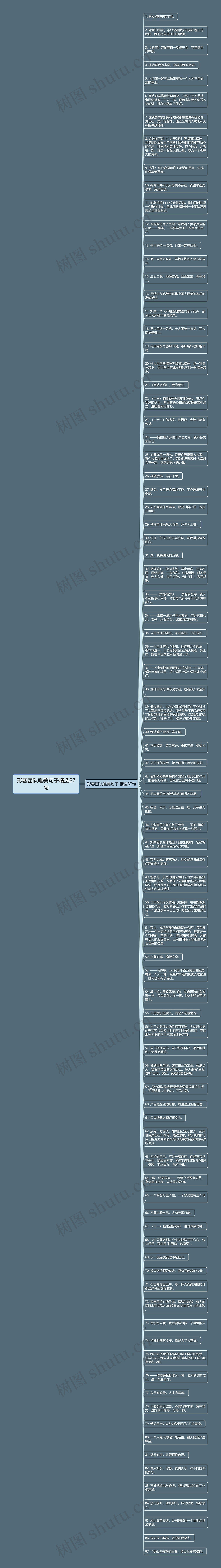 形容团队唯美句子精选87句