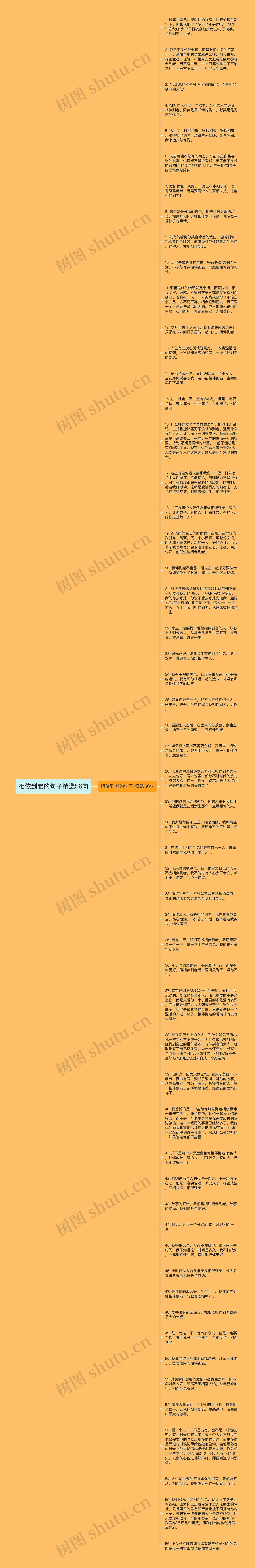 相依到老的句子精选56句