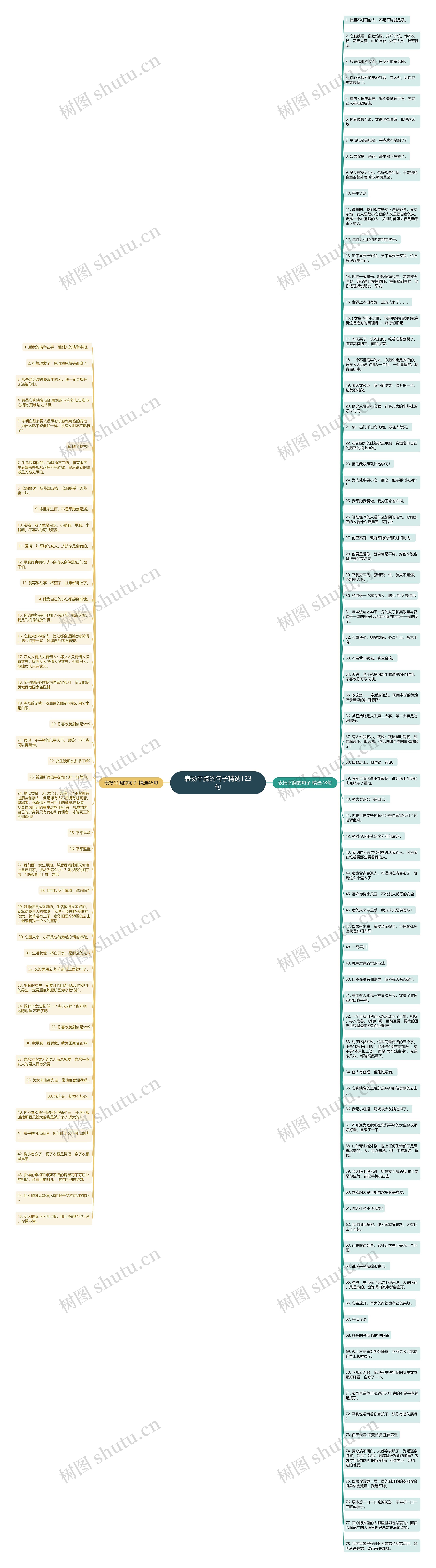 表扬平胸的句子精选123句思维导图