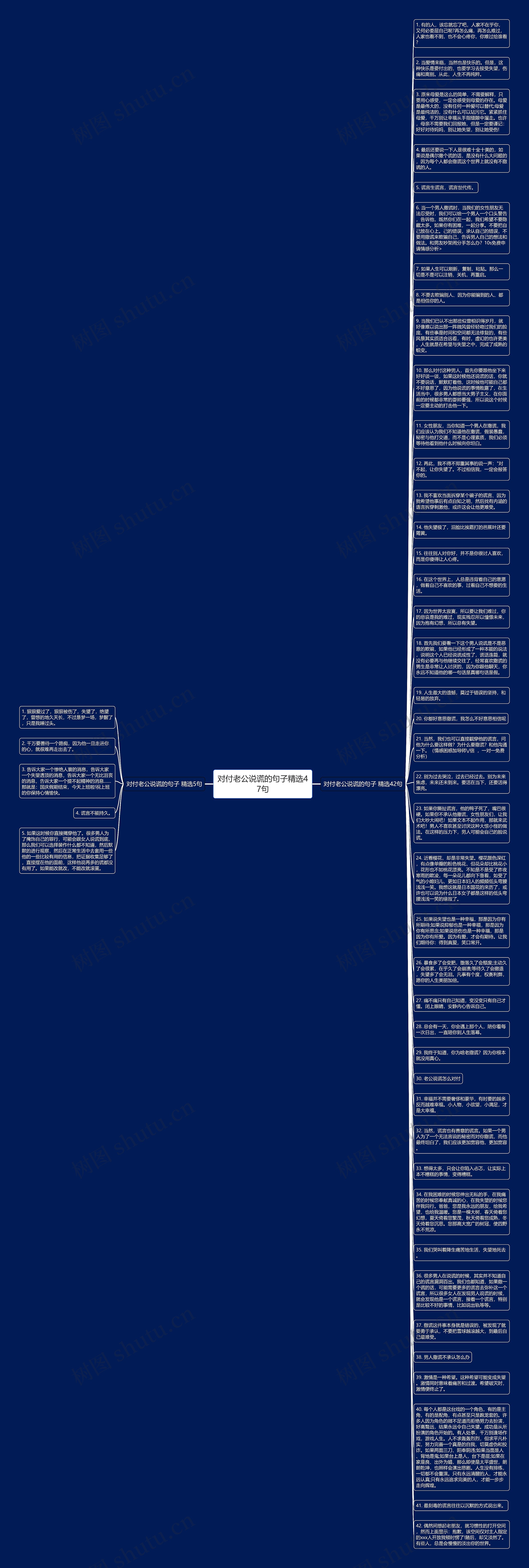 对付老公说谎的句子精选47句思维导图