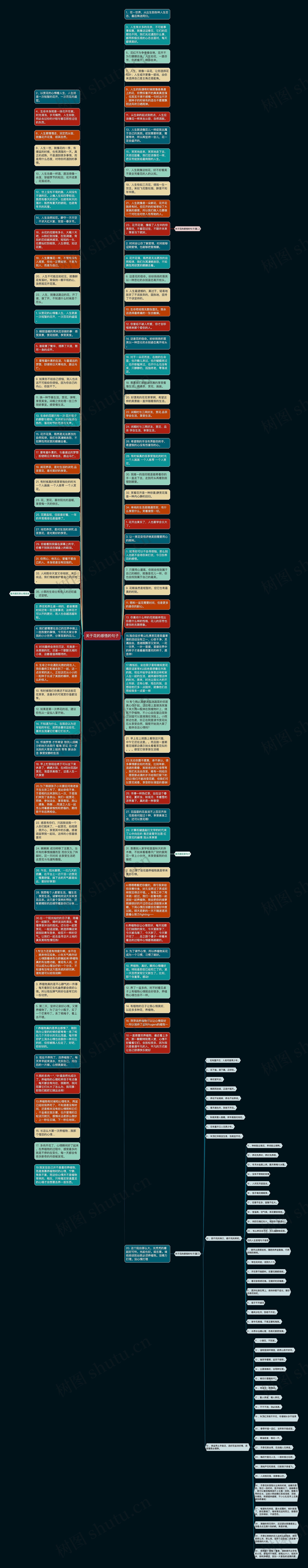 关于花的感悟的句子思维导图
