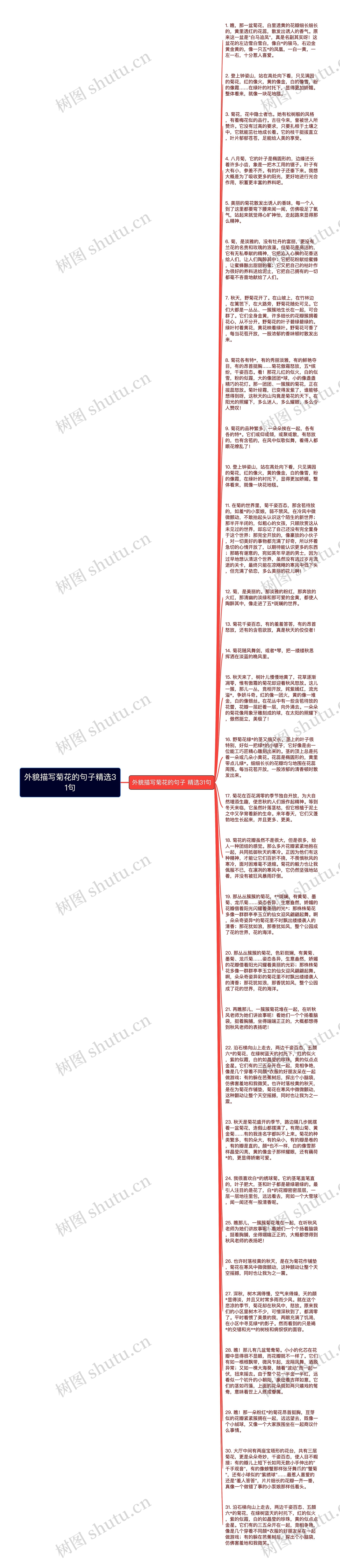 外貌描写菊花的句子精选31句思维导图