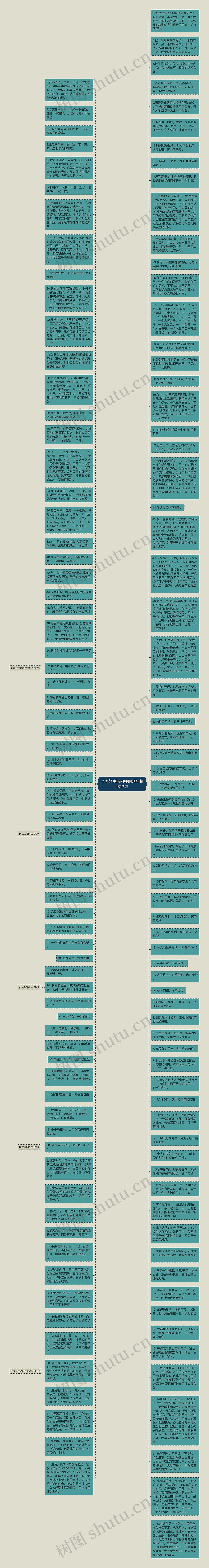 对美好生活向往的短句精选12句思维导图