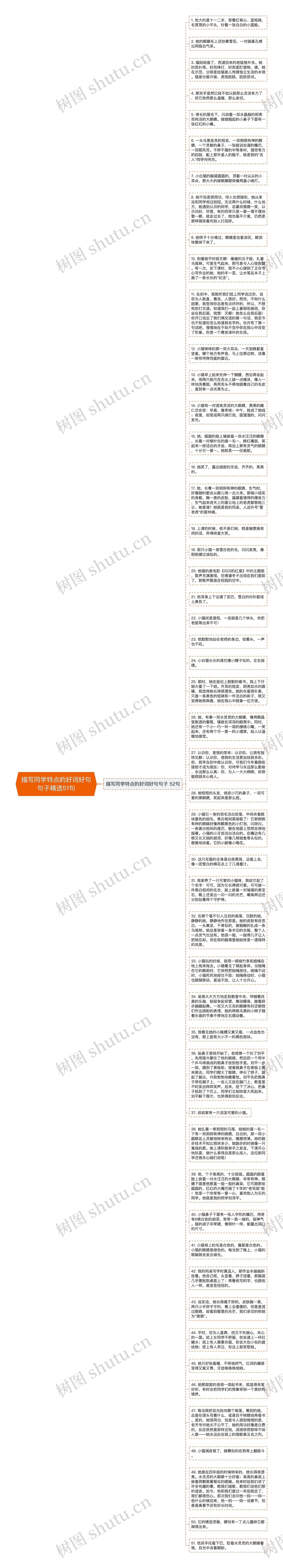 描写同学特点的好词好句句子精选51句